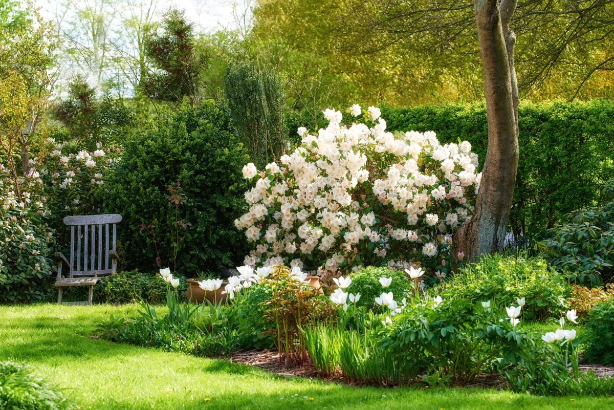 Ruhe im eigenen Garten in Rottweil — der perfekte Rückzugsor