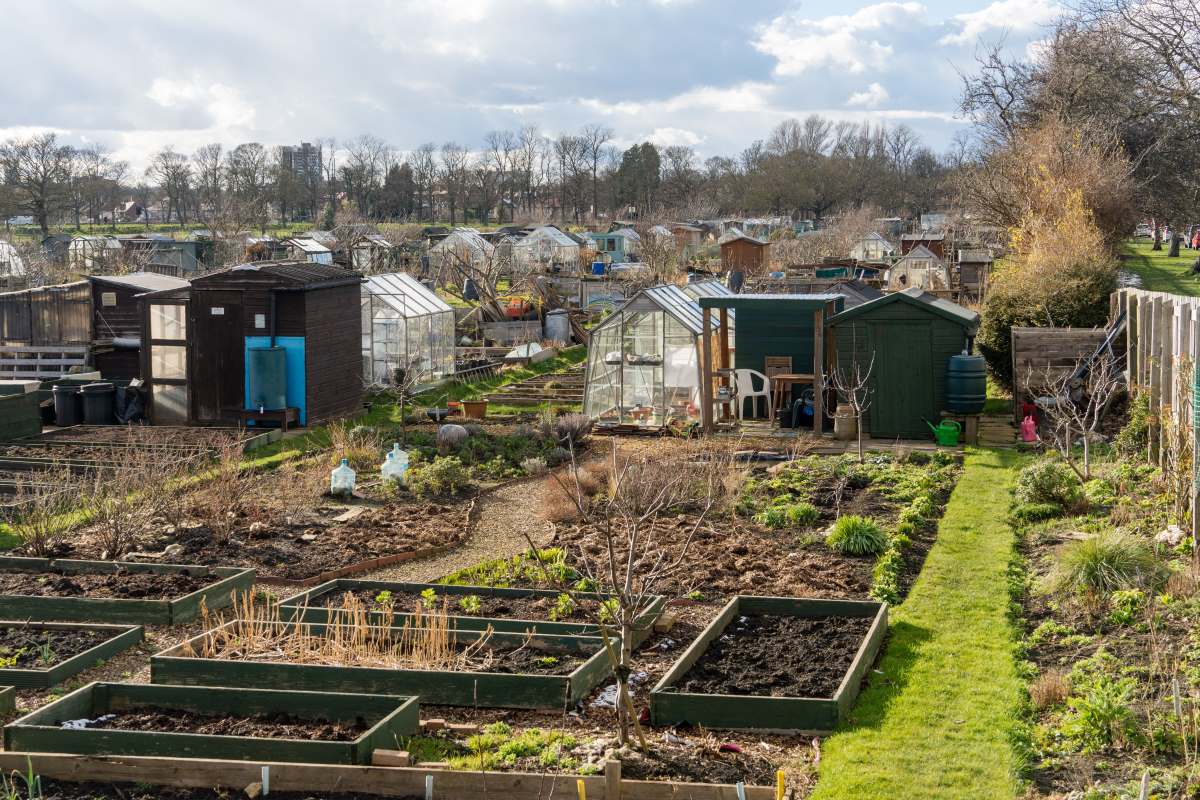 Schrebergarten in Rottweil: Pacht, Regeln und praktische Tip